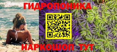 спайс Ефремов