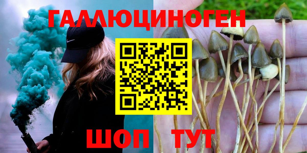 Белгород  Галлюциногенные грибы мухоморы  Вход с VPN 