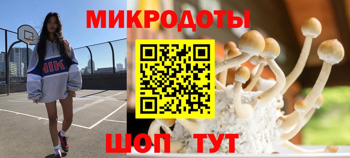 Псилоцибиновые грибы Cubensis Белгород